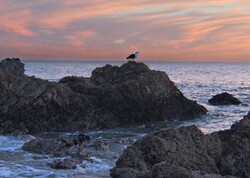 PrayerCrystalCove3
