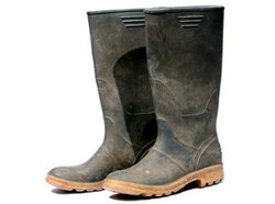 Wellies