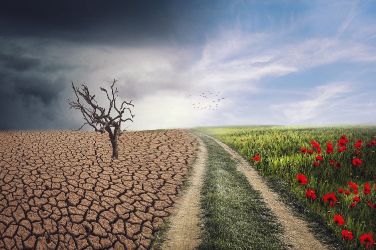 Network Norfolk : Sheringham Methodists to host Climate Fair - Vimarsana News