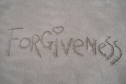 forgiveness 750pb