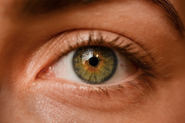Vision750PX