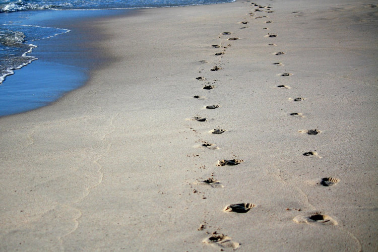 footprints 750pb