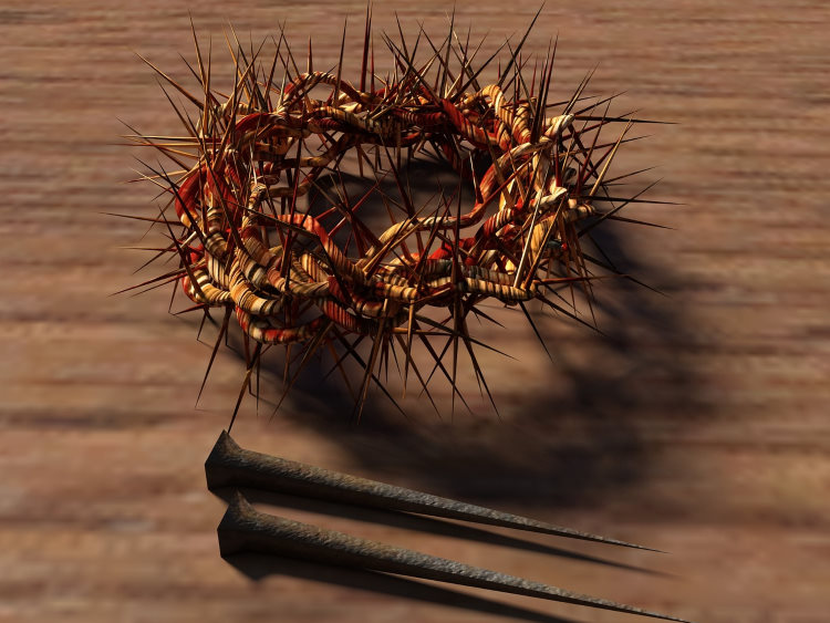 thorns and nails 750pb