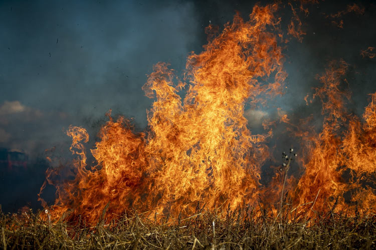 wildfire 750pb