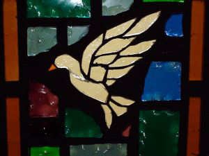 DoveGlass