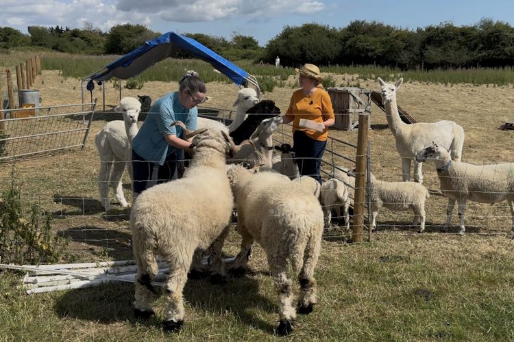 pakefield animal outreach 750A