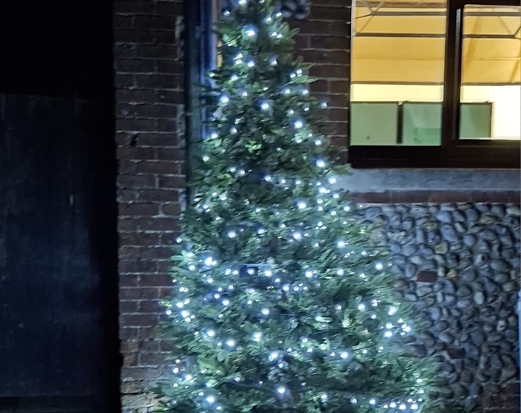 lessingham xmas tree 750AT