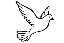 Dove250