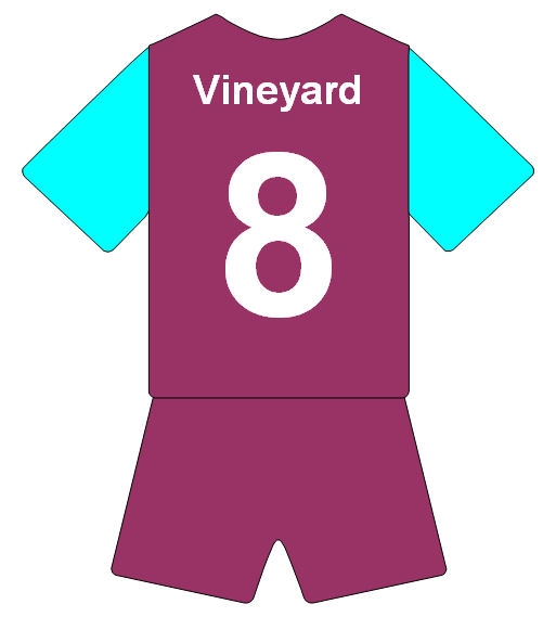 Vineyard