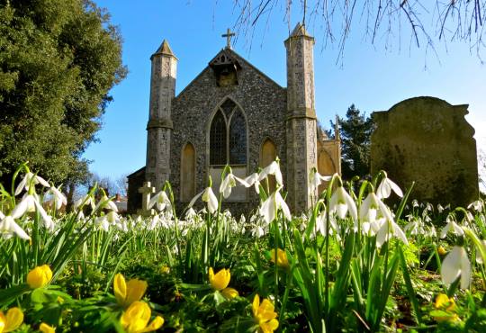 Thorpe Market snowdrops 540AT