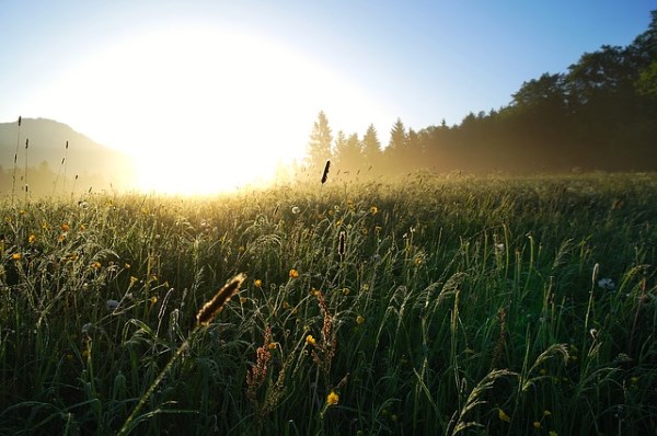 dew at sunrise 600CF