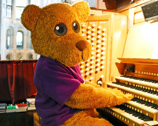 AshleyGroteBearOrgan