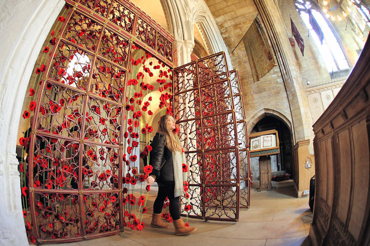 CurtainPoppiesNorwichCathedral