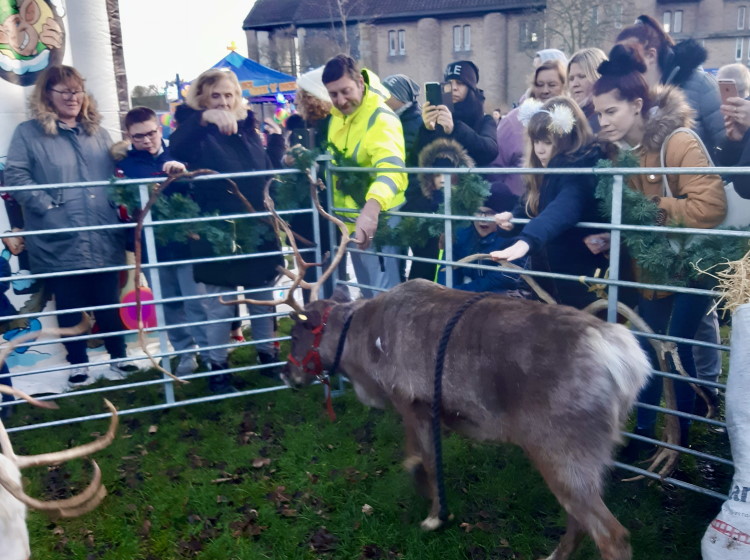 gorleston mag 19 reindeer 750C