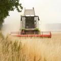 Thanking God for the harvest