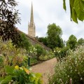 Bishop's garden open for Norfolk charities