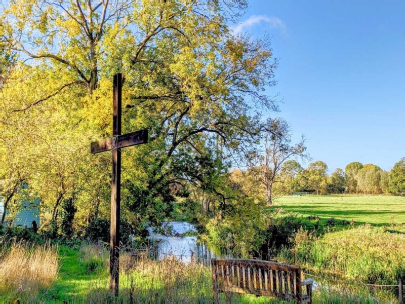Norfolk Christian retreat looks at tree imagery